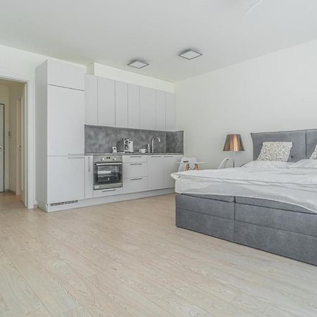 Apartment Karel With Garage Parking プラハ エクステリア 写真