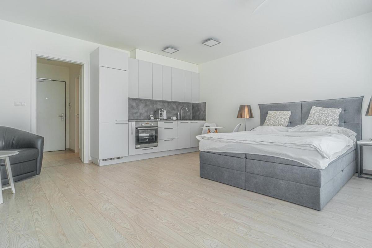 Apartment Karel With Garage Parking プラハ エクステリア 写真
