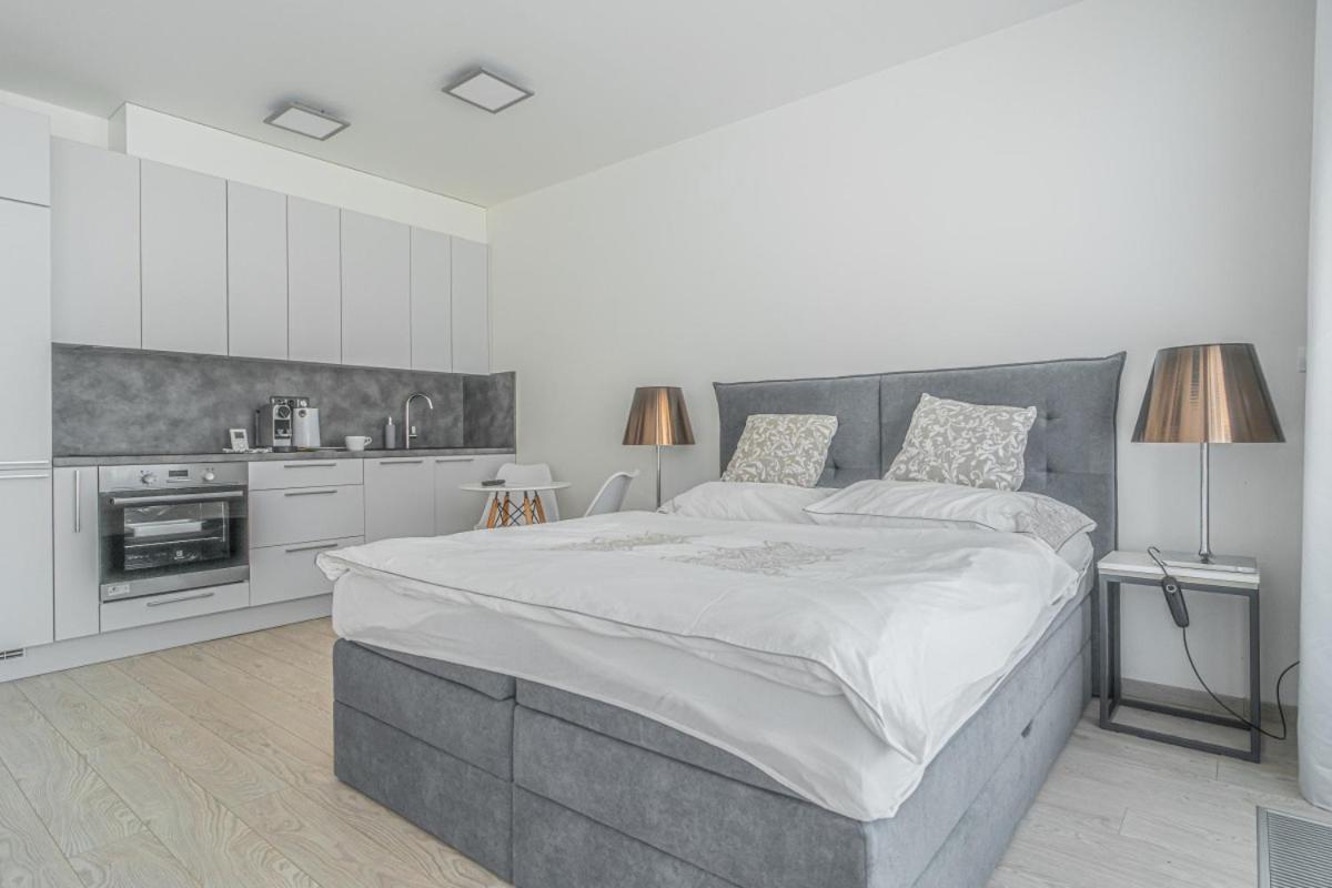 Apartment Karel With Garage Parking プラハ エクステリア 写真