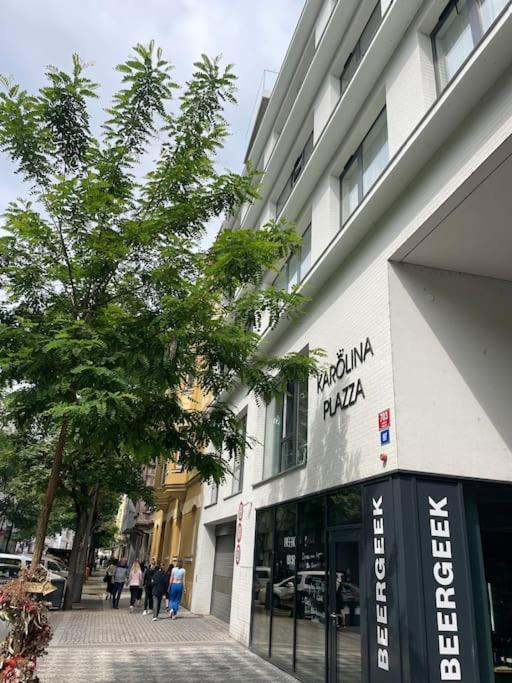 Apartment Karel With Garage Parking プラハ エクステリア 写真